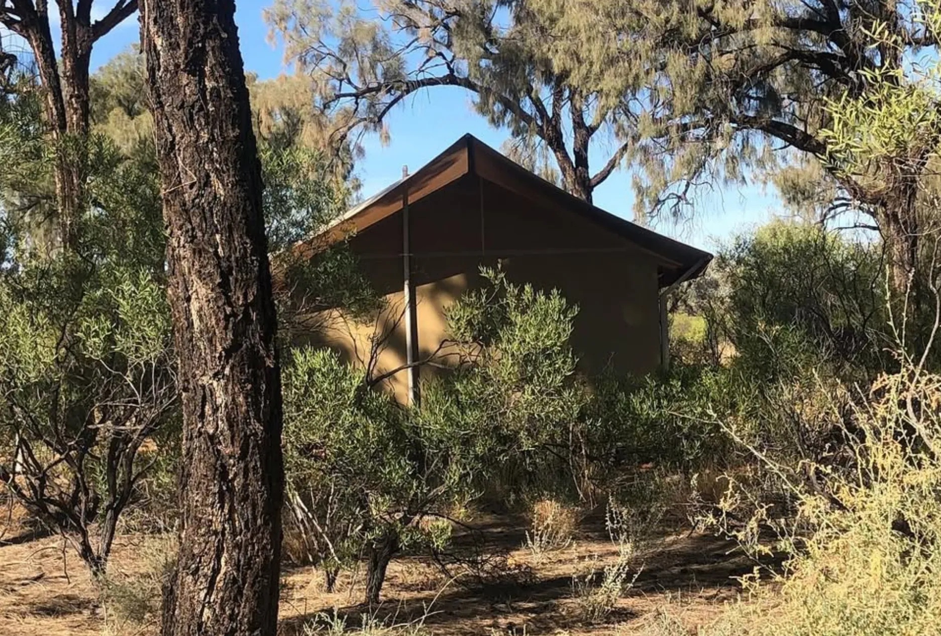 Kings Canyon station