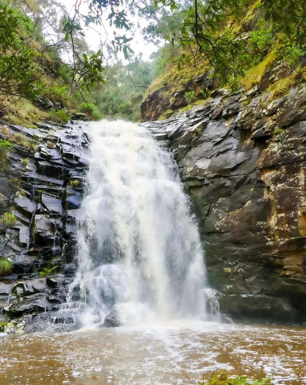 Sheoak Falls