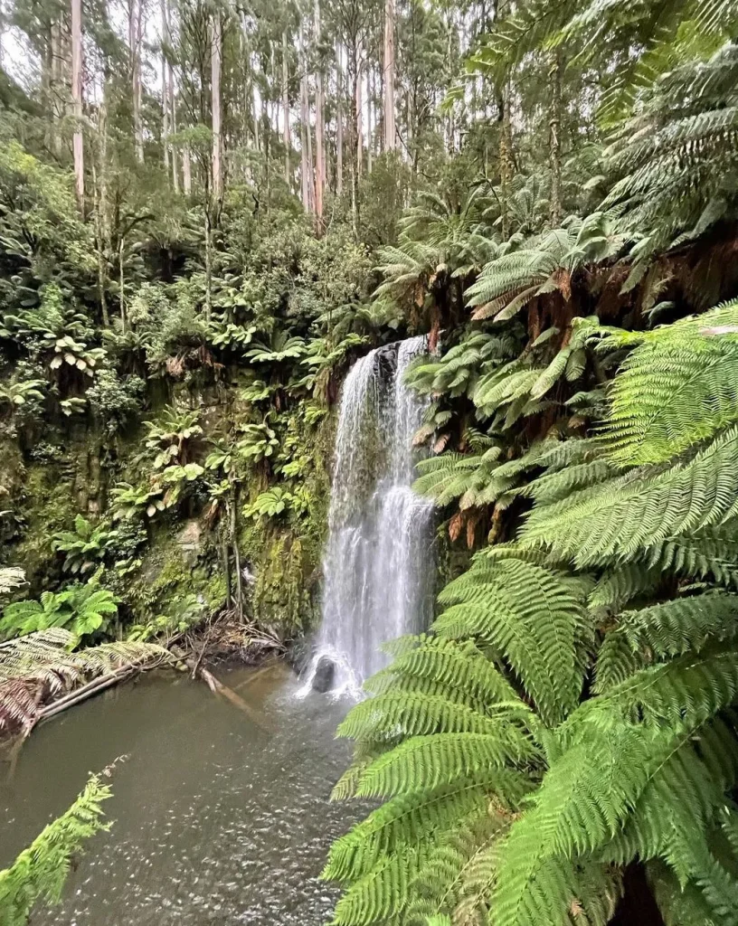 Waterfall Chasing: Discover Beauchamp and Hopetoun Falls