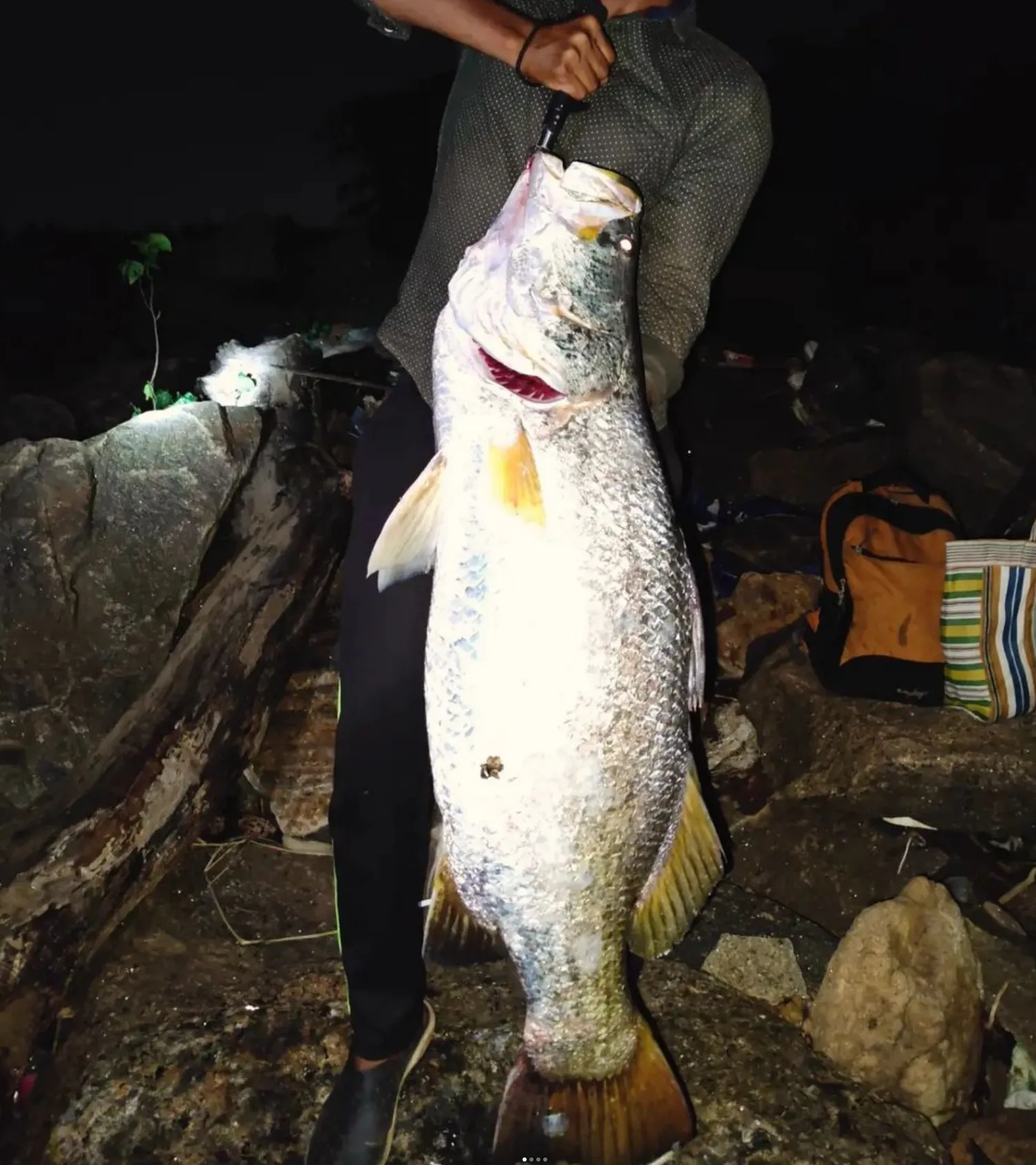 Barramundi Fishing