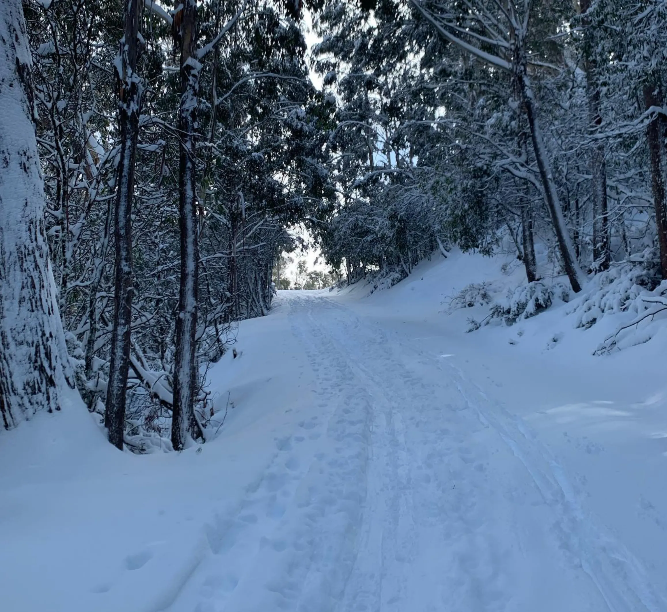 skiing experience