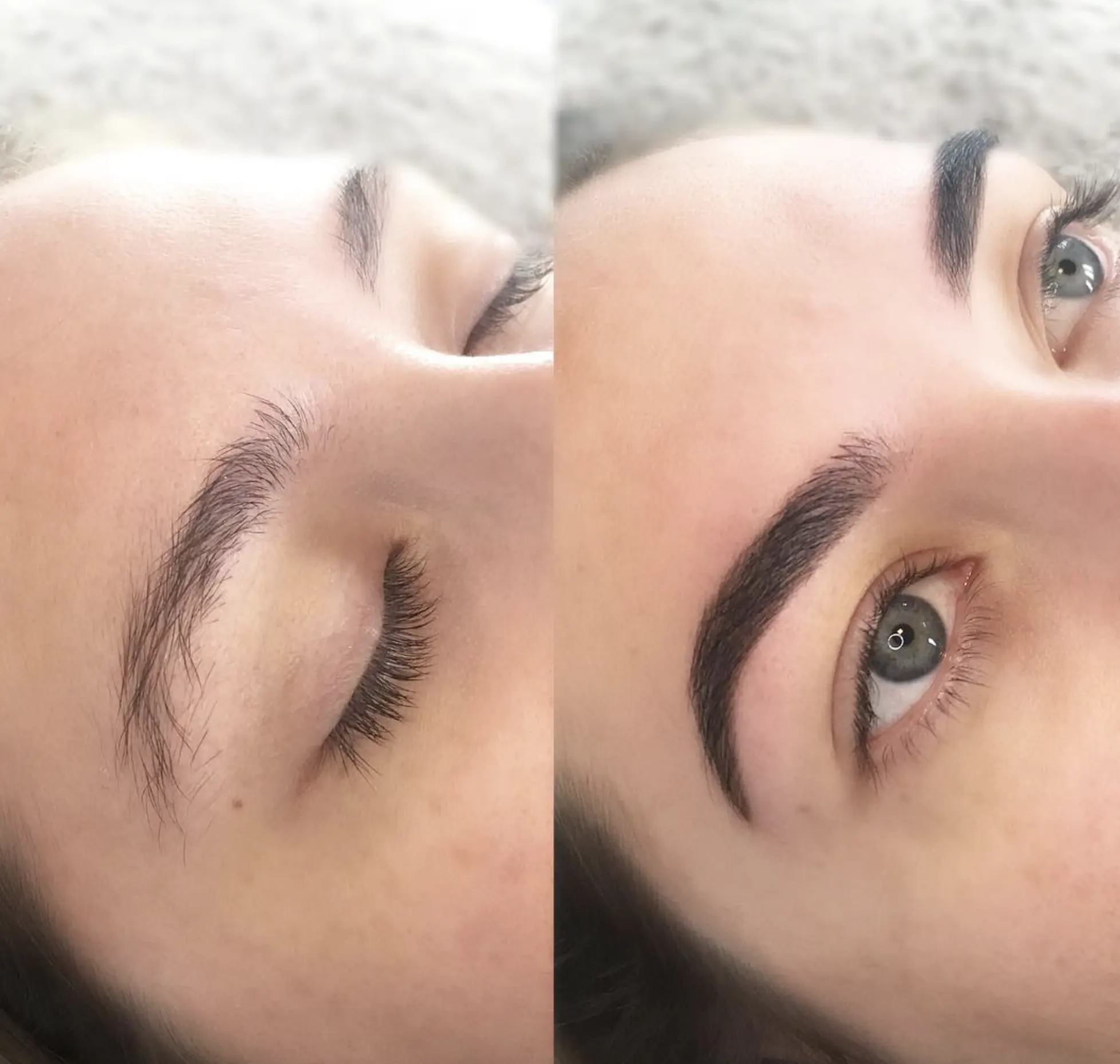 powder brow training